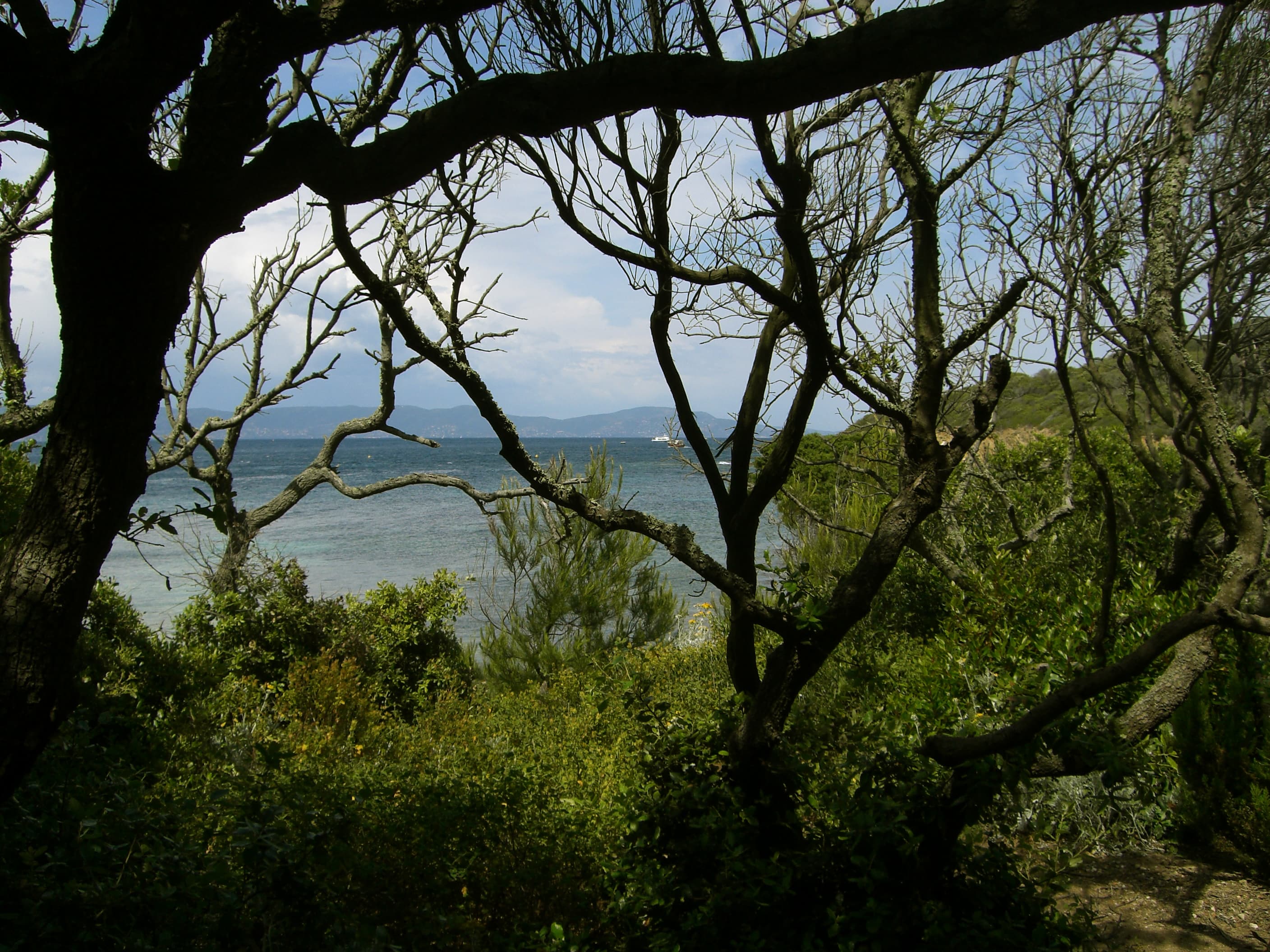 Sentier sous-marin de la Palud