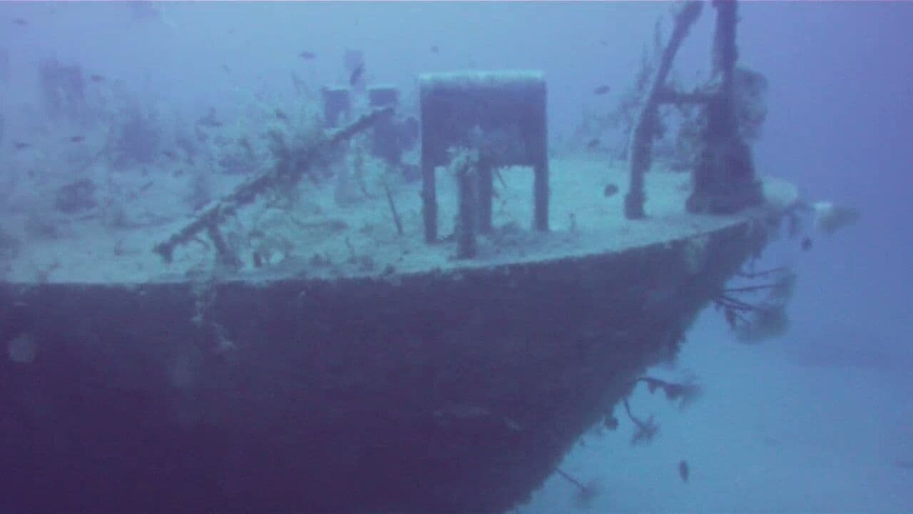 P29 - Patrol Boat